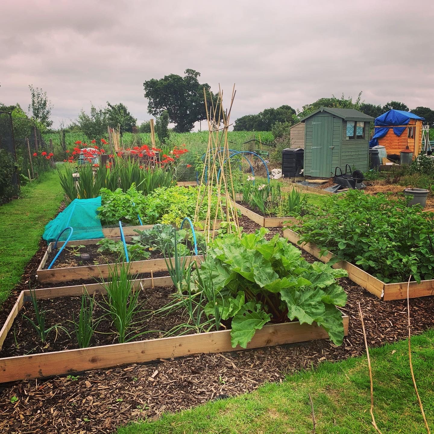 Jonesy Thyme garden and grounds maintenance work
