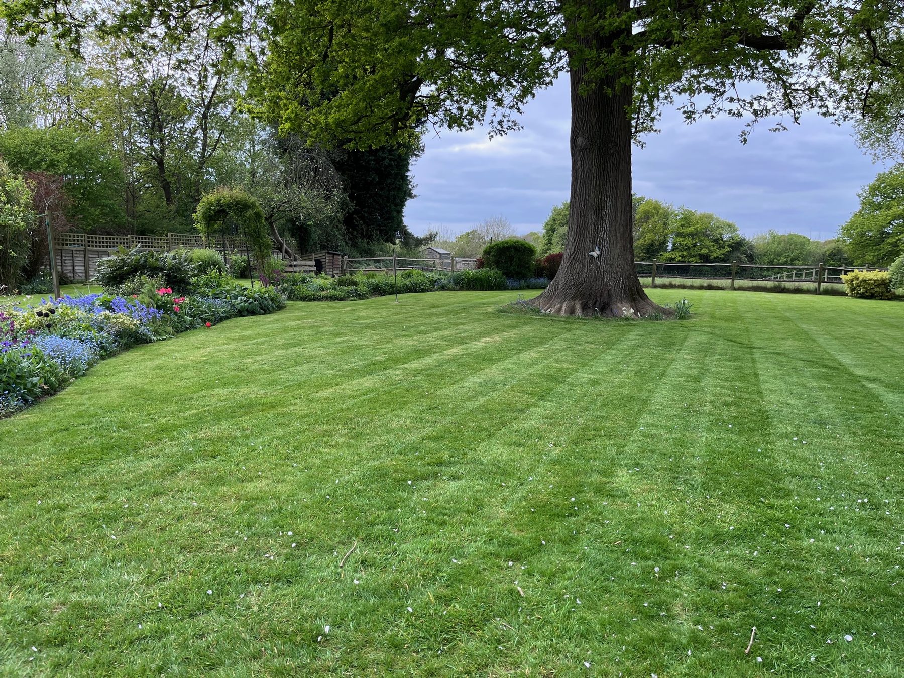 Jonesy Thyme garden and grounds maintenance work