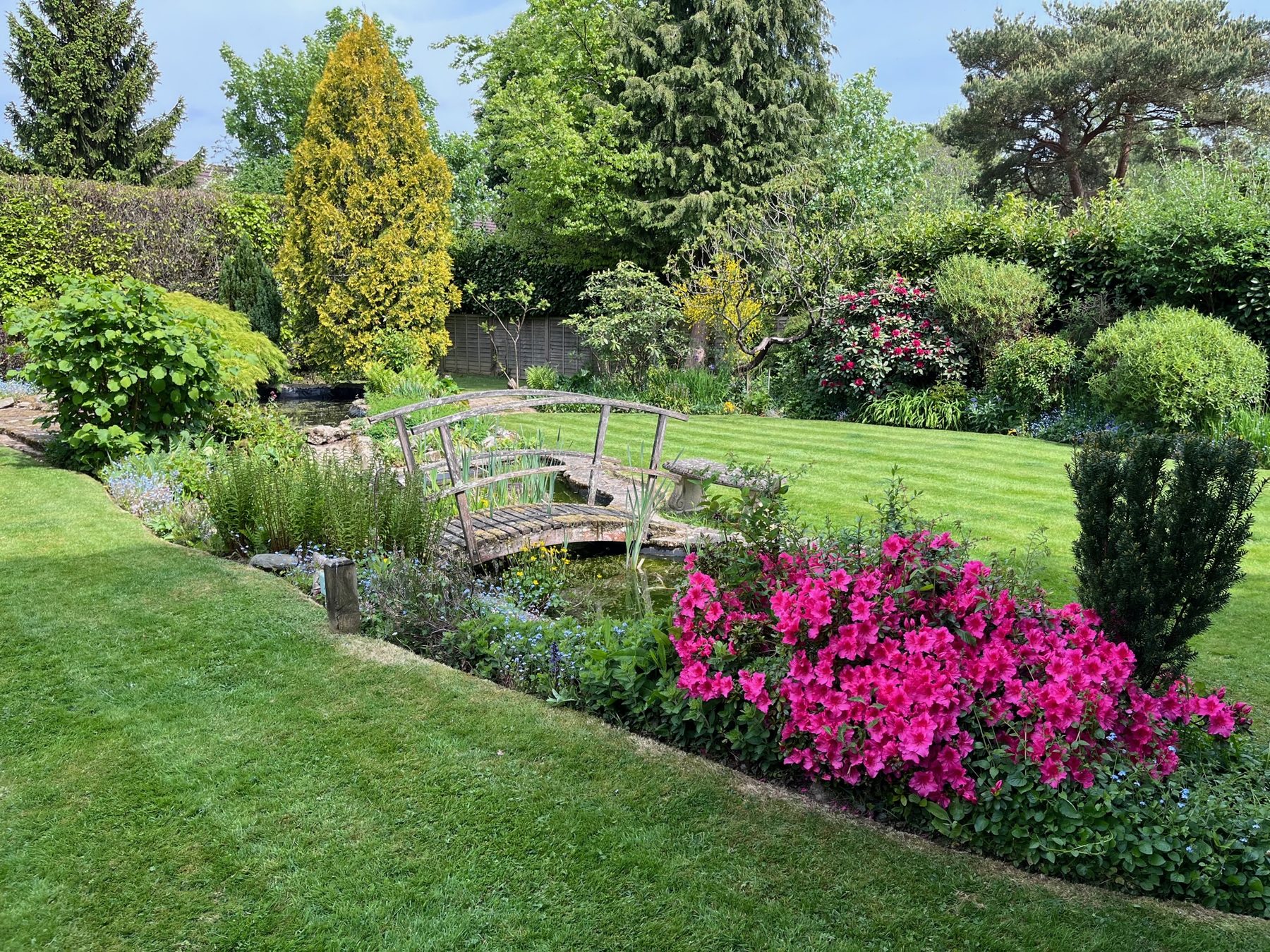 Jonesy Thyme garden and grounds maintenance work