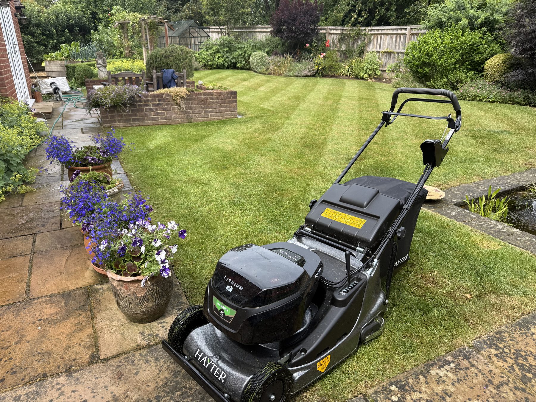 Jonesy Thyme garden and grounds maintenance work