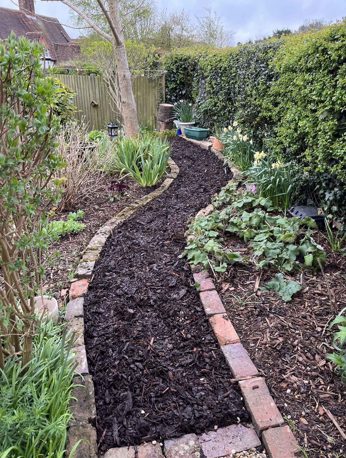 Jonesy Thyme garden and grounds maintenance work