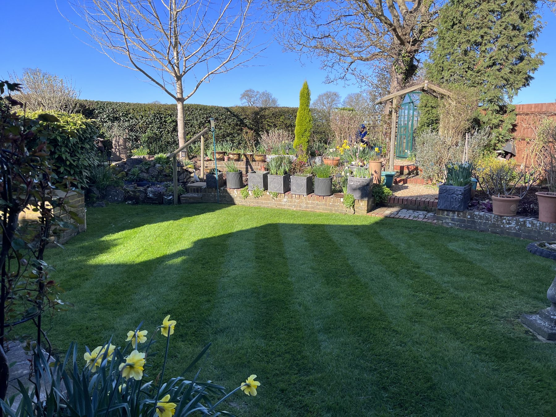 Jonesy Thyme garden and grounds maintenance work