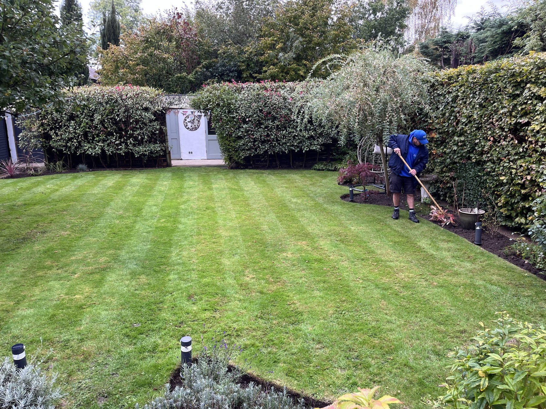 Jonesy Thyme garden and grounds maintenance work