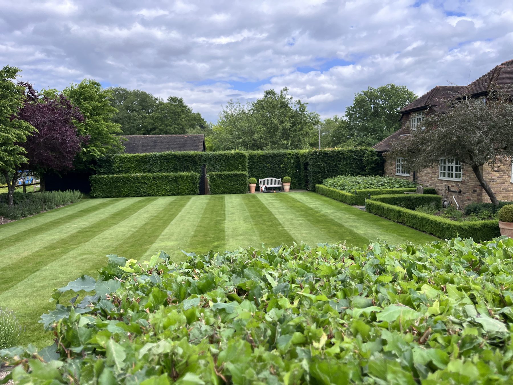 Jonesy Thyme garden and grounds maintenance work
