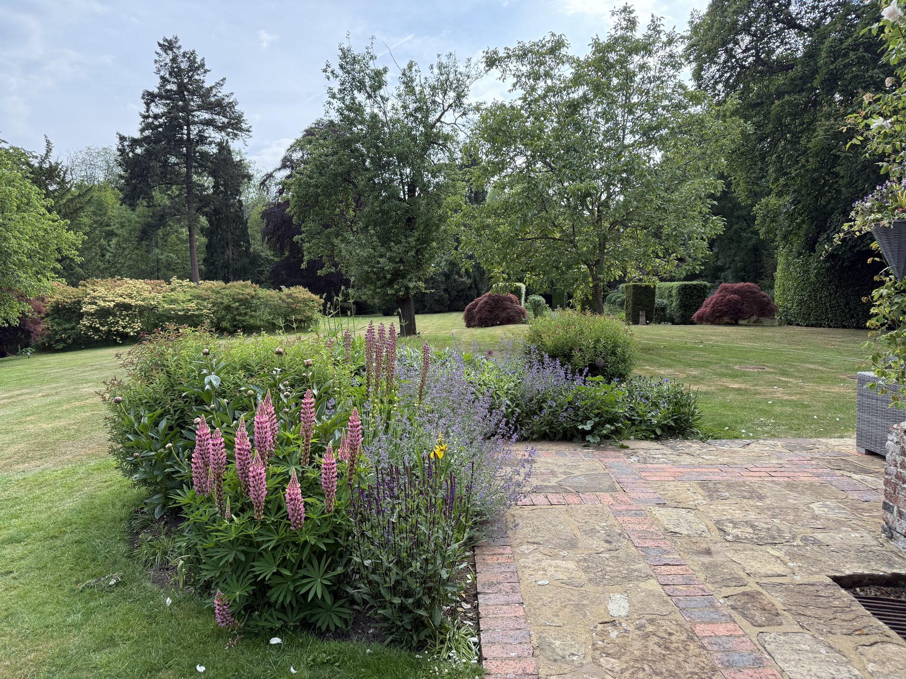 Jonesy Thyme garden and grounds maintenance work
