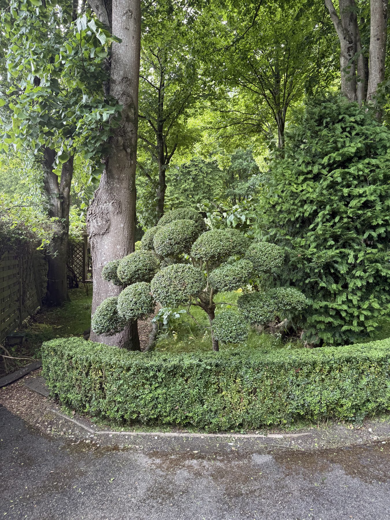 Jonesy Thyme garden and grounds maintenance work