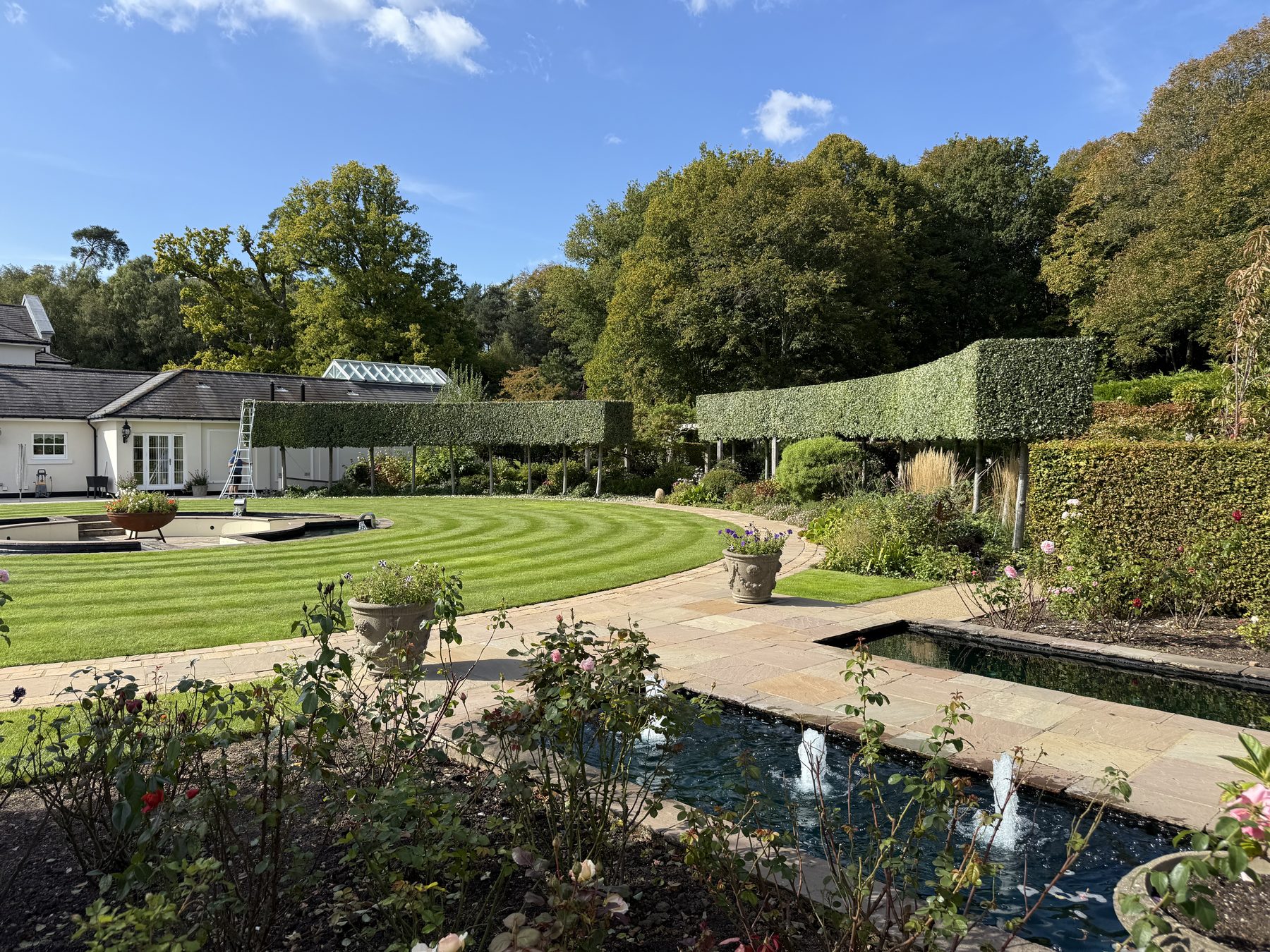 Maintained garden and grounds