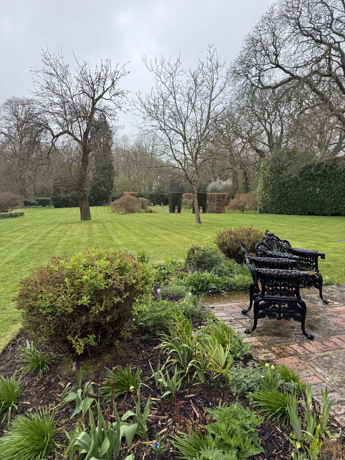 Jonesy Thyme garden and grounds maintenance work
