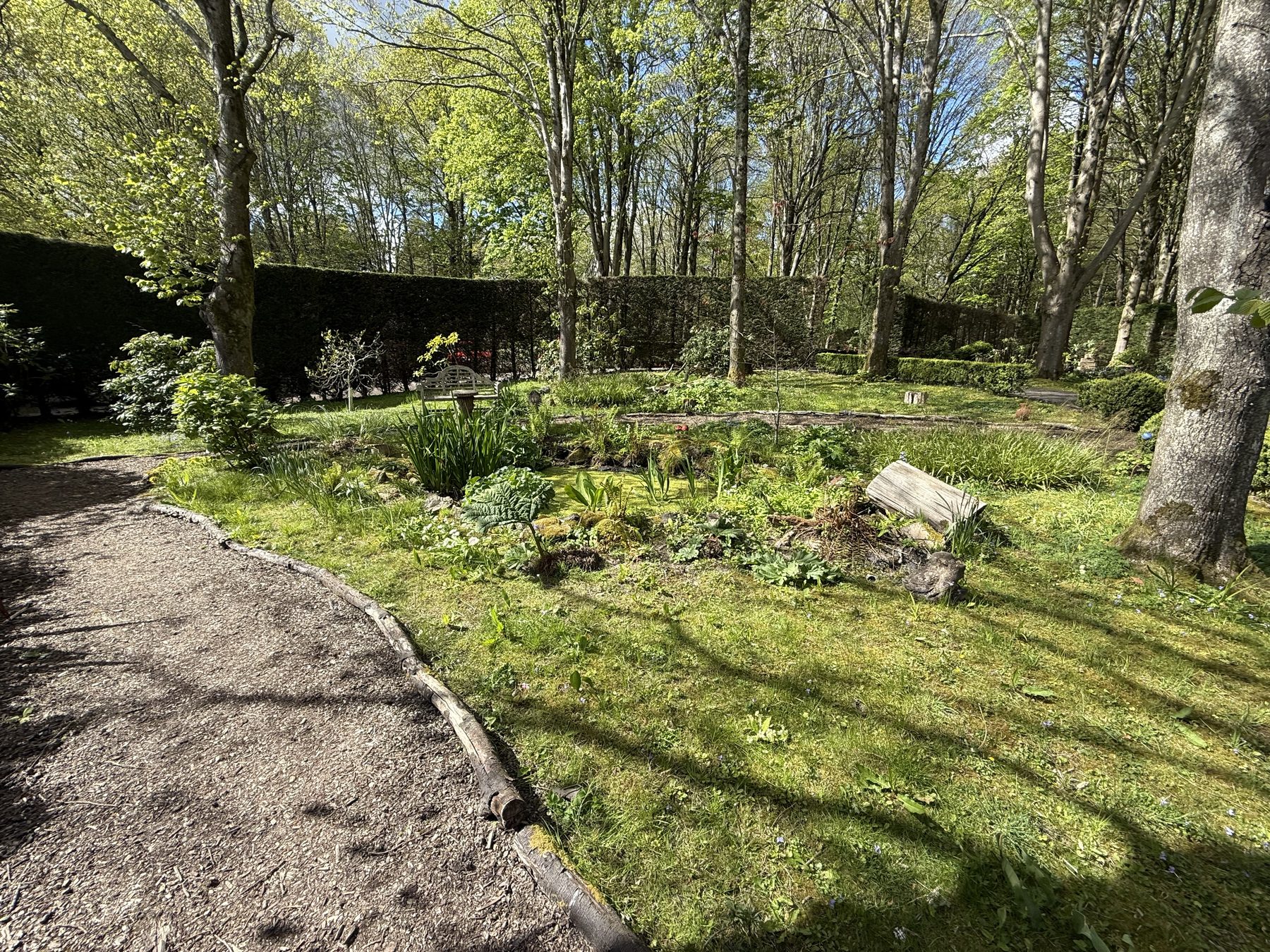 Jonesy Thyme garden and grounds maintenance work
