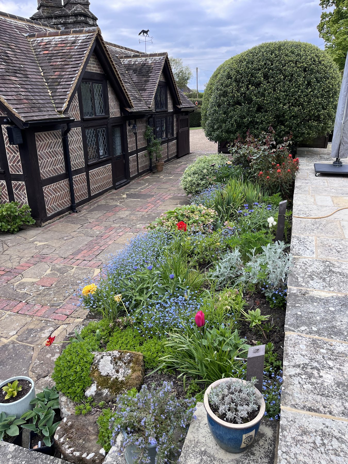 Established planted border maintained by Jonesy Thyme